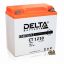 Аккумулятор Delta CT 1210 (12V, 10Ah, 100A) [YB9A-A, YB9-B, 12N9-4B-1]